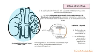 Dra. Melba Fernández Rojas
 
