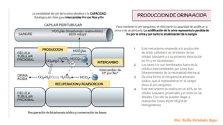 Dra. Melba Fernández Rojas
 