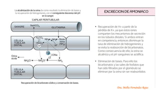 Dra. Melba Fernández Rojas
 
