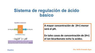Dra. Melba Fernández Rojas
Sistema de regulación de ácido
básico
A mayor concentración de (H+) menor
será el pH.
En tales casos de concentración de (H+)
el ion bicarbonato evita la acidez.
Bioquímica
 