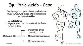 Z
Nuestro organismo presenta una tendencia a la
ACIDIFICACION,ya que se está continuamente
produciendo ácidos.
• Al metabolismo.
• Ingesta diaria de una cantidad de ácidos
junto a la dieta.
MECANISMOS
• Intercambio iónico
(Amortiguadores)
• Mecanismos respiratorios
• Mecanismos renales
Dra. Melba Fernández Rojas
Equilibrio Ácido - Base
Bioquímica
 