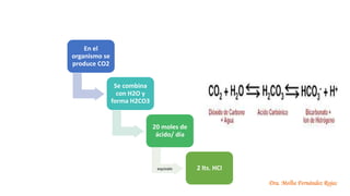 Dra. Melba Fernández Rojas
En el
organismo se
produce CO2
Se combina
con H2O y
forma H2CO3
20 moles de
ácido/ día
2 lts. HCl
equivale
 