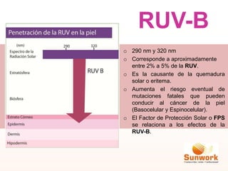 o 290 nm y 320 nm
o Corresponde a aproximadamente
entre 2% a 5% de la RUV.
o Es la causante de la quemadura
solar o eritema.
o Aumenta el riesgo eventual de
mutaciones fatales que pueden
conducir al cáncer de la piel
(Basocelular y Espinocelular).
o El Factor de Protección Solar o FPS
se relaciona a los efectos de la
RUV-B.
RUV-B
 