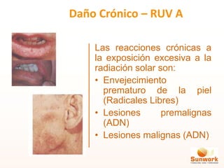 Las reacciones crónicas a
la exposición excesiva a la
radiación solar son:
• Envejecimiento
prematuro de la piel
(Radicales Libres)
• Lesiones premalignas
(ADN)
• Lesiones malignas (ADN)
Daño Crónico – RUV A
 