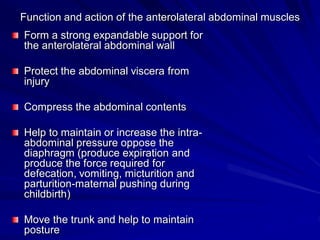 Function and action of the anterolateral abdominal muscles
Form a strong expandable support for
the anterolateral abdominal wall
Protect the abdominal viscera from
injury
Compress the abdominal contents
Help to maintain or increase the intra-
abdominal pressure oppose the
diaphragm (produce expiration and
produce the force required for
defecation, vomiting, micturition and
parturition-maternal pushing during
childbirth)
Move the trunk and help to maintain
posture
 