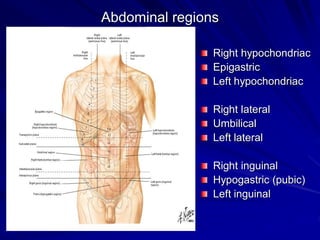 Abdominal regions
Right hypochondriac
Epigastric
Left hypochondriac
Right lateral
Umbilical
Left lateral
Right inguinal
Hypogastric (pubic)
Left inguinal
 