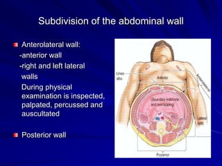 Subdivision of the abdominal wall
Anterolateral wall:
-anterior wall
-right and left lateral
walls
During physical
examination is inspected,
palpated, percussed and
auscultated
Posterior wall
 