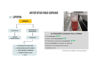 ARTEFATOSMAIS COMUNS
LIPEMIA
ALTERAÇÕES CAUSADA PELA LIPEMIA
§ Hb Aumentado
§ CHM e CHCM Aumentado
§ PT Plasmática (refratômetro) Aumentado
§ Possível aumento da contagem de plaquetas
§ Distorção da morfologia das hemácias
§ Hemólise in vitro
Sanimvet
JEJUM
INADEQUADO
DISFUNÇÃO
ENDÓGENA
ARTEFATO
DOENÇAS
§ PANCREATITE EM CÃES
§ HIPERADRENOCORTICISMO
§ DISLIPIDEMIA PRIMÁRIA
§ DIABETES MELLITUS
§ ETC
Cornell University College of Veterinary Medicine
LIPEMIA
 