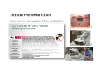 Diretrizes para uma experiência positiva de felinos na prática clínica
ISMF
ISMF
ISMF
 