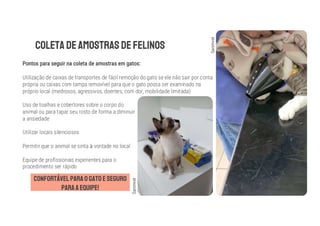 Utilização de caixas de transportes de fácil remoção do gato se ele não sair por conta
própria ou caixas com tampa removível para que o gato possa ser examinado na
próprio local (medrosos, agressivos, doentes, com dor, mobilidade limitada)
Uso de toalhas e cobertores sobre o corpo do
animal ou para tapar seu rosto de forma a diminuir
a ansiedade
Utilizar locais silenciosos
Permitir que o animal se sinta à vontade no local
Equipe de profissionais experientes para o
procedimento ser rápido
Sanimvet
Sanimvet
 