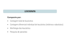 Composto por:
§ Contagem total de leucócitos
§ Contagem diferencial individual de leucócitos (relativos e absolutos)
§ Morfologia das leucócitos
§ Pesquisa de parasitas
 