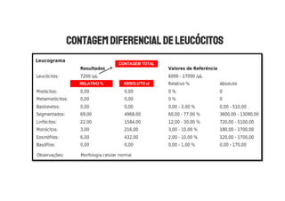 CONTAGEM TOTAL
RELATIVO % ABSOLUTO ul
 