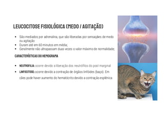 § São mediados por adrenalina, que são liberadas por sensaç es de medo
ou agitação
§ Duram até em 60 minutos em média;
§ Geralmente não ultrapassam duas vezes o valor máximo de normalidade;
§ ocorre devido a liberação dos neutrófilos do pool marginal
§ ocorre devido a contração de órgãos linfóides (baço). Em
cães pode haver aumento do hematócrito devido a contração esplênica
 