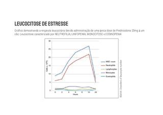 Gráfico demostrando a resposta leucocitária devido administração de uma única dose de Prednisolona 20mg à um
cão. Leucocitose caracterizado por NEUTROFILIA, LINFOPENIA, MONOCITOSE e EOSINOPENIA
BSAVA.
Disorders
of
leucocyte
number
 