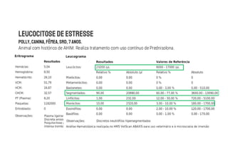 Animal com histórico de AHIM. Realiza tratamento com uso contínuo de Prednisolona.
 