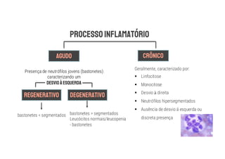 Presença de neutrófilos jovens (bastonetes)
caracterizando um
bastonetes < segmentados bastonetes > segmentados
Leucócitos normais/leucopenia
- bastonetes
Geralmente, caracterizado por:
§ Linfocitose
§ Monocitose
§ Desvio direita
§ Neutrófilos hipersegmentados
§ Ausência de desvio á esquerda ou
discreta presença
 