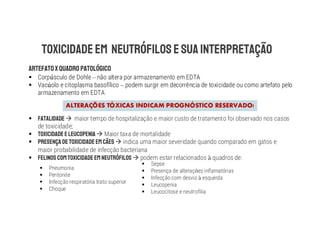 § Corp sculo de Dohle – não altera por armazenamento em EDTA
§ Vac olo e citoplasma basofílico – podem surgir em decorrência de toxicidade ou como artefato pelo
armazenamento em EDTA
ALTERAÇÕES TÓXICAS INDICAM PROGNÓSTICO RESERVADO!
§ à maior tempo de hospitalização e maior custo de tratamento foi observado nos casos
de toxicidade;
§ à Maior taxa de mortalidade
§ à indica uma maior severidade quando comparado em gatos e
maior probabilidade de infecção bacteriana
§ à podem estar relacionados quadros de:
§ Pneumonia
§ Peritonite
§ Infecção respiratória trato superior
§ Choque
§ Sepse
§ Presença de alterações inflamatórias
§ Infecção com desvio à esquerda
§ Leucopenia
§ Leucocitose e neutrofilia
 