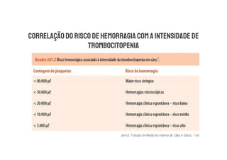 Jericó. Tratado de Medicina Interna de Cães e Gatos. 1 ed
 