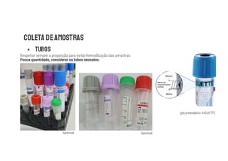 COLETA DEAMOSTRAS
§ TUBOS
gbo preanalytics VACUETTE
Respeitar sempre a proporção para evitar hemodiluição das amostras
Sanimvet Sanimvet
 