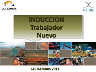 LAS BAMBAS 2011
INDUCCION
Trabajador
Nuevo
 