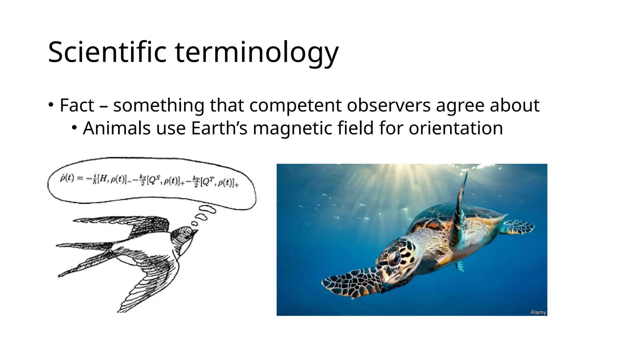 Scientific terminology
• Fact – something that competent observers agree about
• Animals use Earth’s magnetic field for orientation
 