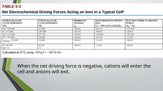 When the net driving force is negative, cations will enter the
cell and anions will exit.
 