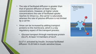 • The rate of facilitated diffusion is greater than
that of passive diffusion at lower solute
concentrations. However, at higher solute
concentrations the rate of facilitated uptake
reaches its Vmax (i.e., the carrier is saturated),
whereas the rate of passive diffusion is not limited
by a carrier.
• Vmax can be increased by adding transport
proteins to the membrane, which is a key
regulatory aspect of the transport process.
• Glucose transport through membrane protein
(GLUT). At least 14 members of GLUT.
GLUT 4 activated by Insulin. Increase facilitated
diffusion 10-20 fold in insulin sensitive tissue.
 