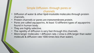 Simple Diffusion- through pores or
channels
• Diffusion of water & other lipid-insoluble molecules through protein
channels.
• Protein channels or pores are transmembrane protein.
• Pores are called aquaporins. At least 13 different types of aquaporins
found in human body .
• They are highly selective.
• The rapidity of diffusion is very fast through this channels.
• More larger molecules < diffusion rate. ( Urea is 20% larger than water
molecule & diffusion rate 1000 times less than water).
 