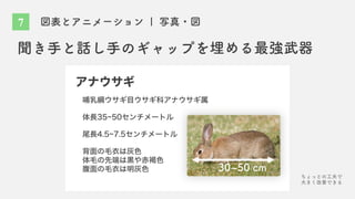 図表とアニメーション | 写真・図
聞き手と話し手のギャップを埋める最強武器
30~50 cm
アナウサギ
哺乳綱ウサギ目ウサギ科アナウサギ属
体長35~50センチメートル
尾長4.5~7.5センチメートル
背面の毛衣は灰色
体毛の先端は黒や赤褐色
腹面の毛衣は明灰色
7
ちょっとの工夫で
大きく改善できる
 