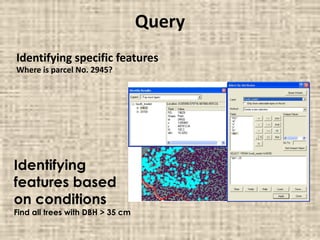 Query
Identifying specific features
Where is parcel No. 2945?
Identifying
features based
on conditions
Find all trees with DBH > 35 cm
 