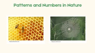 01.Patterns-and-Numbers-in-Nature-101.pdf