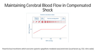 Pathophysiology of circulatory shock .pdf