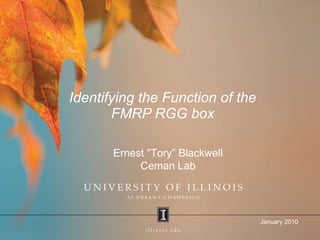 Identifying the Function of the FMRP RGG box January 2010 Ernest “Tory” Blackwell Ceman Lab 