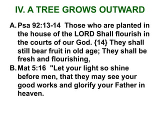 IV. A TREE GROWS OUTWARD
A. Psa 92:13-14 Those who are planted in
   the house of the LORD Shall flourish in
   the courts of our God. {14} They shall
   still bear fruit in old age; They shall be
   fresh and flourishing,
B. Mat 5:16 "Let your light so shine
   before men, that they may see your
   good works and glorify your Father in
   heaven.
 