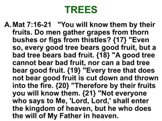 TREES
A. Mat 7:16-21 "You will know them by their
   fruits. Do men gather grapes from thorn
   bushes or figs from thistles? {17} "Even
   so, every good tree bears good fruit, but a
   bad tree bears bad fruit. {18} "A good tree
   cannot bear bad fruit, nor can a bad tree
   bear good fruit. {19} "Every tree that does
   not bear good fruit is cut down and thrown
   into the fire. {20} "Therefore by their fruits
   you will know them. {21} "Not everyone
   who says to Me, 'Lord, Lord,' shall enter
   the kingdom of heaven, but he who does
   the will of My Father in heaven.
 
