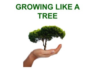 GROWING LIKE A
    TREE
 