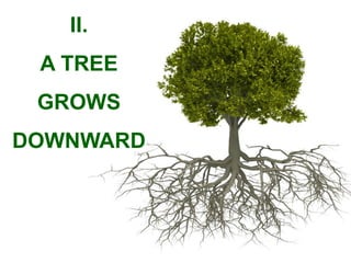 II.
 A TREE
 GROWS
DOWNWARD
 