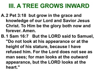 III. A TREE GROWS INWARD
A. 2 Pet 3:18 but grow in the grace and
   knowledge of our Lord and Savior Jesus
   Christ. To Him be the glory both now and
   forever. Amen.
B. 1 Sam 16:7 But the LORD said to Samuel,
   "Do not look at his appearance or at the
   height of his stature, because I have
   refused him. For the Lord does not see as
   man sees; for man looks at the outward
   appearance, but the LORD looks at the
   heart."
 