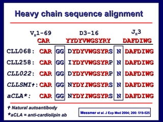 CLL068 : CAR  GG   D YDYVWGSYR S N   DAFDIWG CLLSMI  : CAR  GG   N YDY I WGSYR S   N   DAFDIWG CLL258 : CAR  GG   I YDYVWGSYR P   N  DAFDIWG aCLA*: CAR  GG   N YDY I WGSYR S   N   DAFDIWG CAR  YYDYVWGSYRY  DAFDIWG D3-16 J H 3 V H 1-69 Heavy chain sequence alignment CLL022 : CAR  GG   D YDYVWGSYR P   N   DAFDIWG    Natural autoantibody * aCLA = anti-cardiolipin ab Messmer   et al . J Exp Med 2004; 200: 519-525 