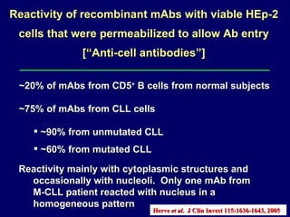 ~20% of mAbs from CD5 +  B cells from normal subjects  ~75% of mAbs from CLL cells ~90% from unmutated CLL ~60% from mutated CLL Reactivity of recombinant mAbs with viable HEp-2 cells that were permeabilized to allow Ab entry [“Anti-cell antibodies”] Reactivity mainly with cytoplasmic structures and  occasionally with nucleoli.  Only one mAb from M-CLL patient reacted with nucleus in a  homogeneous pattern Herve  et al .  J Clin Invest  115:1636-1643, 2005   