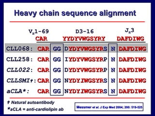 CLL068 : CAR  GG   D YDYVWGSYR S N   DAFDIWG CLLSMI  : CAR  GG   N YDY I WGSYR S   N   DAFDIWG CLL258 : CAR  GG   I YDYVWGSYR P   N  DAFDIWG aCLA*: CAR  GG   N YDY I WGSYR S   N   DAFDIWG CAR  YYDYVWGSYRY  DAFDIWG D3-16 J H 3 V H 1-69 Heavy chain sequence alignment CLL022 : CAR  GG   D YDYVWGSYR P   N   DAFDIWG    Natural autoantibody * aCLA = anti-cardiolipin ab Messmer   et al . J Exp Med 2004; 200: 519-525 