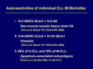 Autoreactivities of individual CLL BCRs/mAbs V H 1-69/D3-16/J H 3 + V K 3-20:  Non-muscle myosin heavy chain IIA    ( Chu et al. Blood 112: 5122-5129, 2008 ) 2. V H 4-39/D6-13/J H 5 + V K 1D-39/J K 1 Vimentin   ( Chu et al. Blood 112: 5122-5129, 2008 ) 3. 60% of U-CLL and 10% of M-CLL:  Apoptosis-associated autoantigens  ( Catera et al. Mol Med 2008; 14: 665-674   ) 