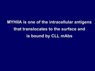 MYHIIA   is one of the intracellular antigens that translocates to the surface and is bound by CLL mAbs 