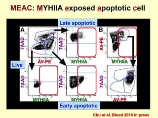 Live Late apoptotic Early apoptotic Chu  et al . Blood 2010 in press MEAC :  M YHIIA  e xposed  a poptotic  c ell 