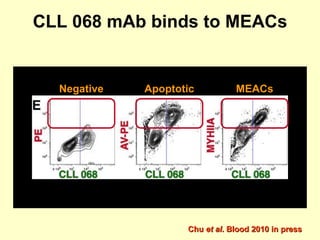CLL 068 mAb binds to MEACs Chu  et al . Blood 2010 in press Negative Apoptotic MEACs 