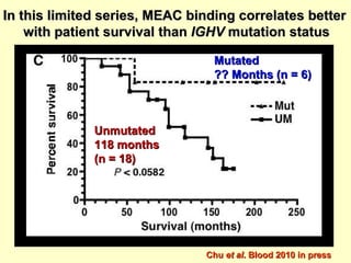 Unmutated 118 months (n = 18) Mutated ?? Months (n = 6) In this limited series, MEAC binding correlates better  with patient survival than  IGHV  mutation status Chu  et al . Blood 2010 in press 