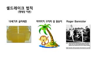 셀드레이크 법칙
     (형태장 이론)


19세기초 글리세린      미야자키 고지마 섬 원숭이   Roger Bannister
 