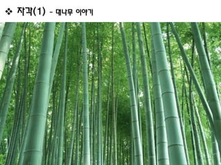  자각(1)   - 대나무 이야기
 