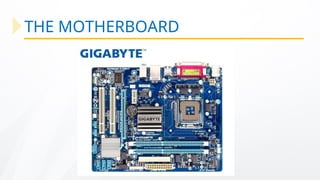 THE MOTHERBOARD
 