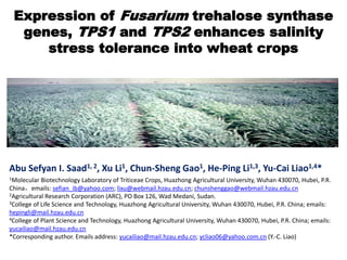 Expression of Fusarium trehalose synthase
  genes, TPS1 and TPS2 enhances salinity
     stress tolerance into wheat crops




Abu Sefyan I. Saad1, 2, Xu Li1, Chun-Sheng Gao1, He-Ping Li1,3, Yu-Cai Liao1,4*
1Molecular  Biotechnology Laboratory of Triticeae Crops, Huazhong Agricultural University, Wuhan 430070, Hubei, P.R.
China，emails: sefian_ib@yahoo.com; lixu@webmail.hzau.edu.cn; chunshenggao@webmail.hzau.edu.cn
2Agricultural Research Corporation (ARC), PO Box 126, Wad Medani, Sudan.
3College of Life Science and Technology, Huazhong Agricultural University, Wuhan 430070, Hubei, P.R. China; emails:

hepingli@mail.hzau.edu.cn
4College of Plant Science and Technology, Huazhong Agricultural University, Wuhan 430070, Hubei, P.R. China; emails:

yucailiao@mail.hzau.edu.cn
*Corresponding author. Emails address: yucailiao@mail.hzau.edu.cn; ycliao06@yahoo.com.cn (Y.-C. Liao)
 